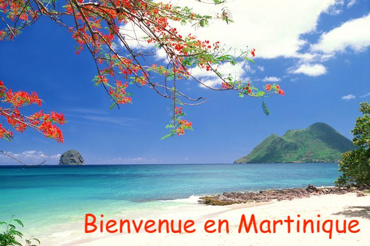 Bienvenue nv site